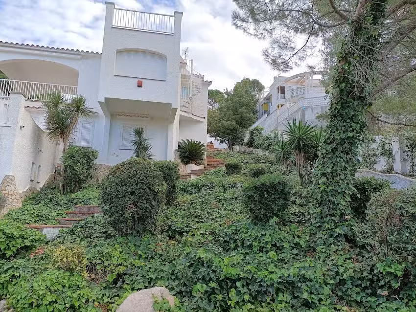 Immobiliaria Finques Pedró