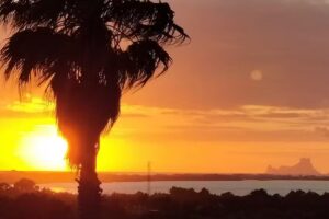 Immobiliària Sa Punta