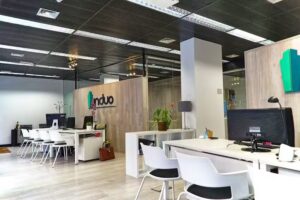 INDUO INMOBILIARIA