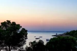 Ingestim – Gestión Inmobiliaria Industrial