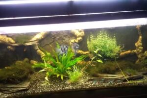 Inmoasesoriavalmojado