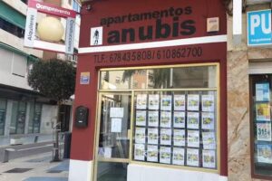 Inmobiliaria Anubis Estate Agent Torre del Mar