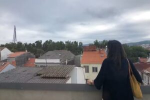 Inmobiliaria Artemisa