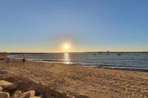 INMOBILIARIA BARRAMEDA