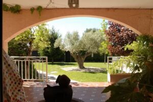 Inmobiliaria Carphatica SL