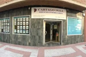 Inmobiliaria Cartago 19