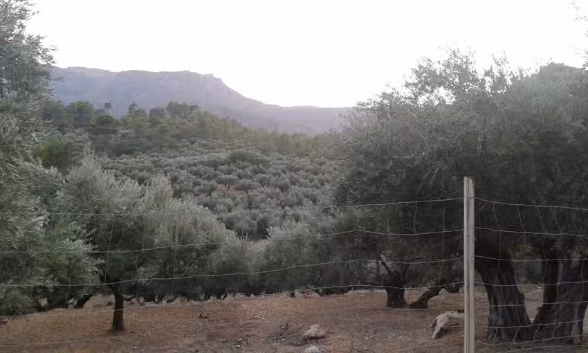 Inmobiliaria Castillo