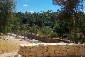 Inmobiliaria Dama De Elche