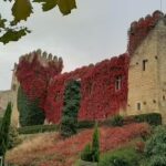 INMOBILIARIA EL PORTAL