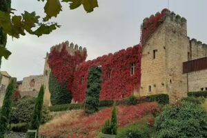 INMOBILIARIA EL PORTAL