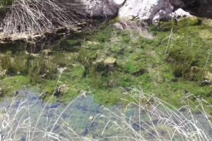 Inmobiliaria els estanys