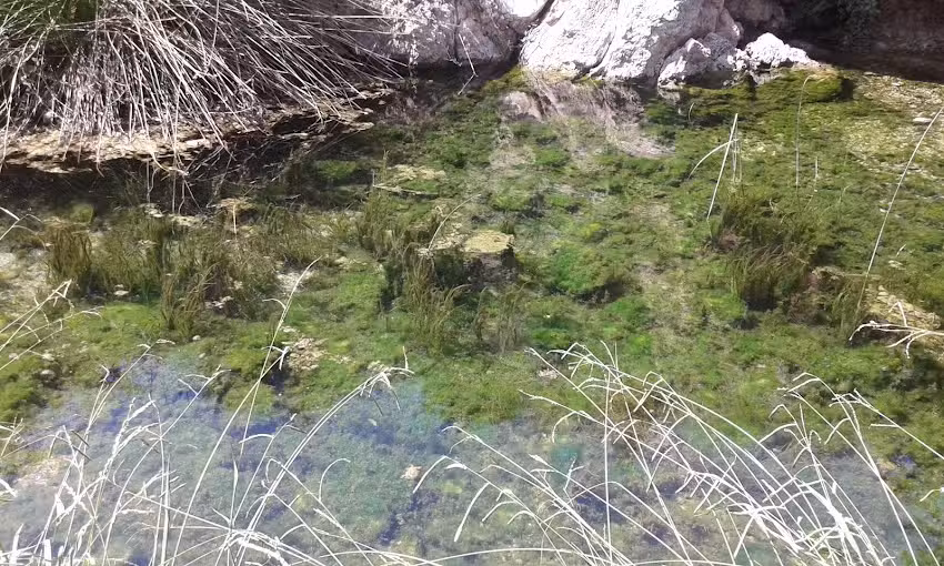 Inmobiliaria els estanys