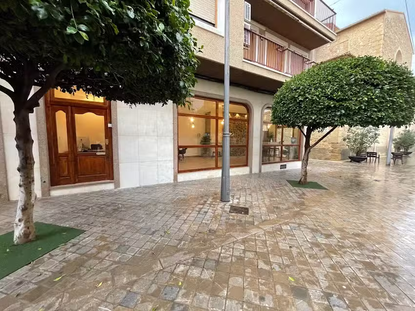 Inmobiliaria en Alicante | Albor Servicios Inmobiliarios