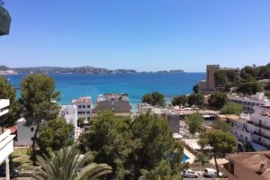 Inmobiliaria Ericsus & Falk