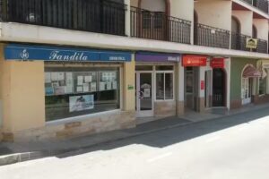 Inmobiliaria Fandila