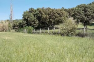 Inmobiliaria fincas rústicas y edificios singulares – Fincas Rústicas Viver