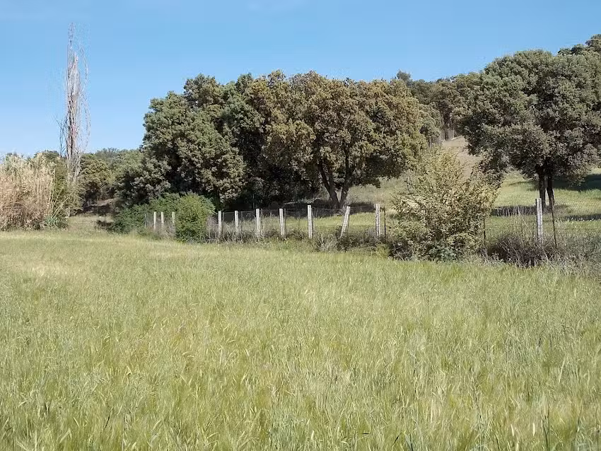 Inmobiliaria fincas rústicas y edificios singulares – Fincas Rústicas Viver