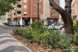 Inmobiliaria FORT KING REAL ESTATE