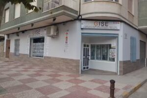 INMOBILIARIA GISE