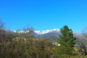 Inmobiliaria Habitavera