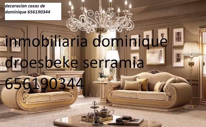Inmobiliaria inversiones Dominique Droesbeke Serramia