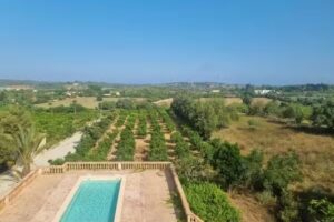 Inmobiliaria Javieryelennys