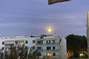 Inmobiliaria La Vileta