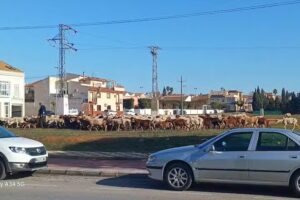 Inmobiliaria La Viña