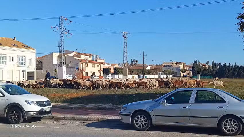 Inmobiliaria La Viña