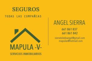 Inmobiliaria Mapula -V-