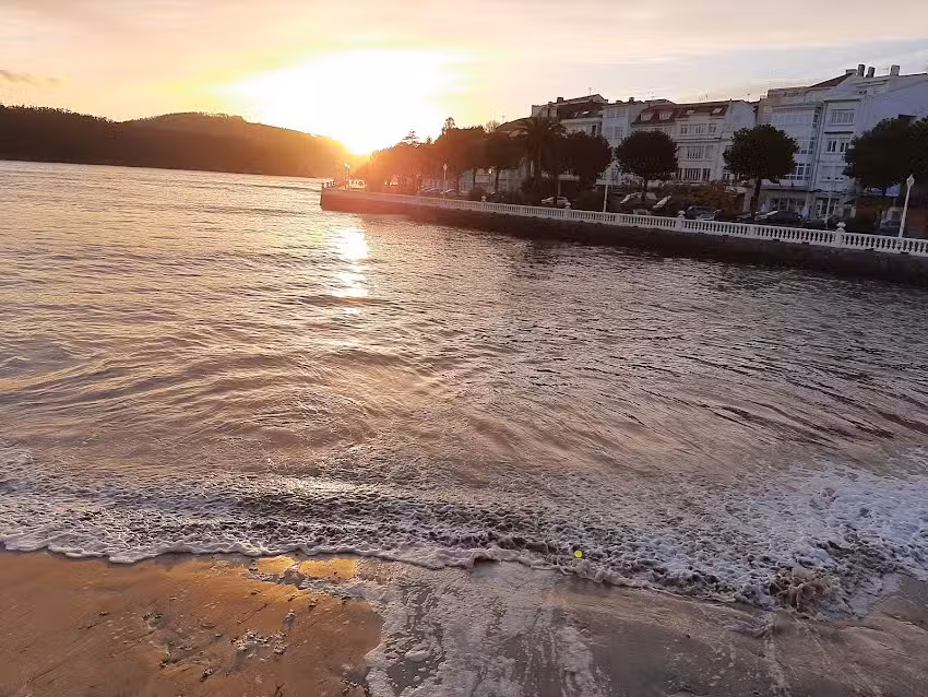 Inmobiliaria Martínez