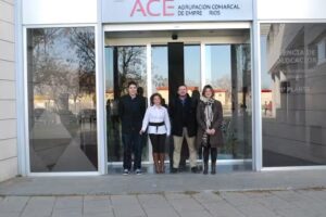 INMOBILIARIA MGF GLOBAL SERVICES