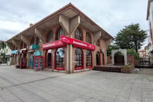 Inmobiliaria Mi Villa