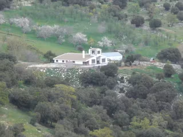 INMOBILIARIA MIGUEL RODRIGUEZ