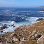 Inmobiliaria Montelouro