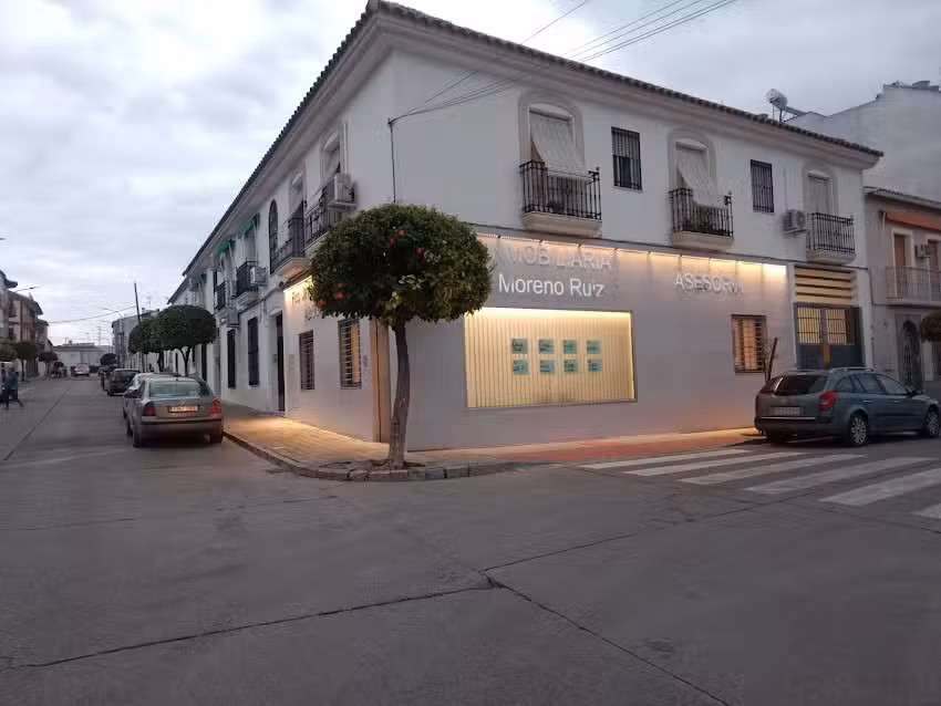 Inmobiliaria Moreno Ruiz