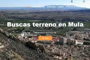 Inmobiliaria Niño de Mula