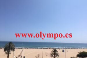 Inmobiliaria Olympo. Venta y alquiler apartamentos Playa de Gandia