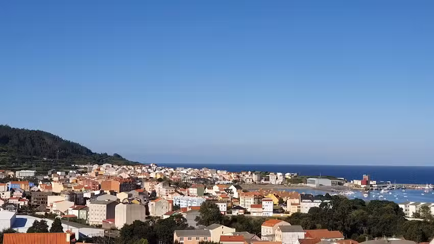 Inmobiliaria Ortegal