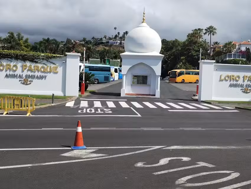 inmobiliaria schmidt costia