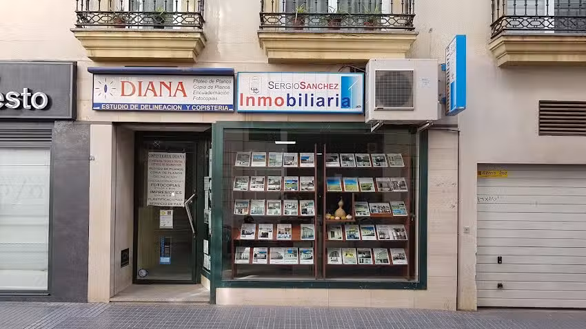 INMOBILIARIA SERGIO SANCHEZ