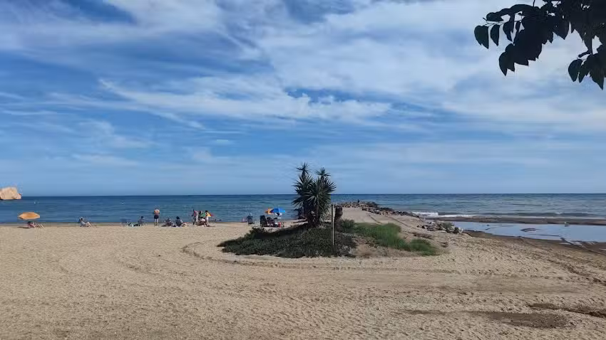 Inmobiliaria Sur Aguilas