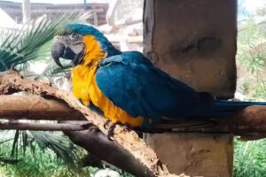 Inmobiliaria Tencasa