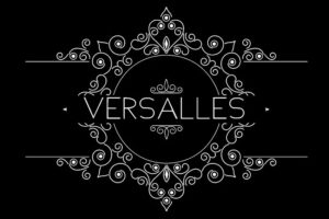 Inmobiliaria Versalles