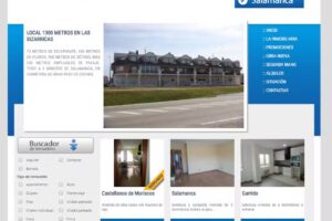 inmobiliaria vicente bajo