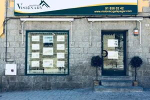 INMOBILIARIA VISIONARY