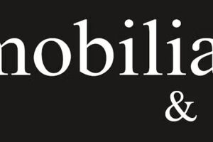 Inmobiliaria y Aguas