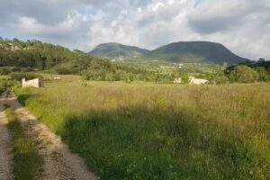 International Mallorca