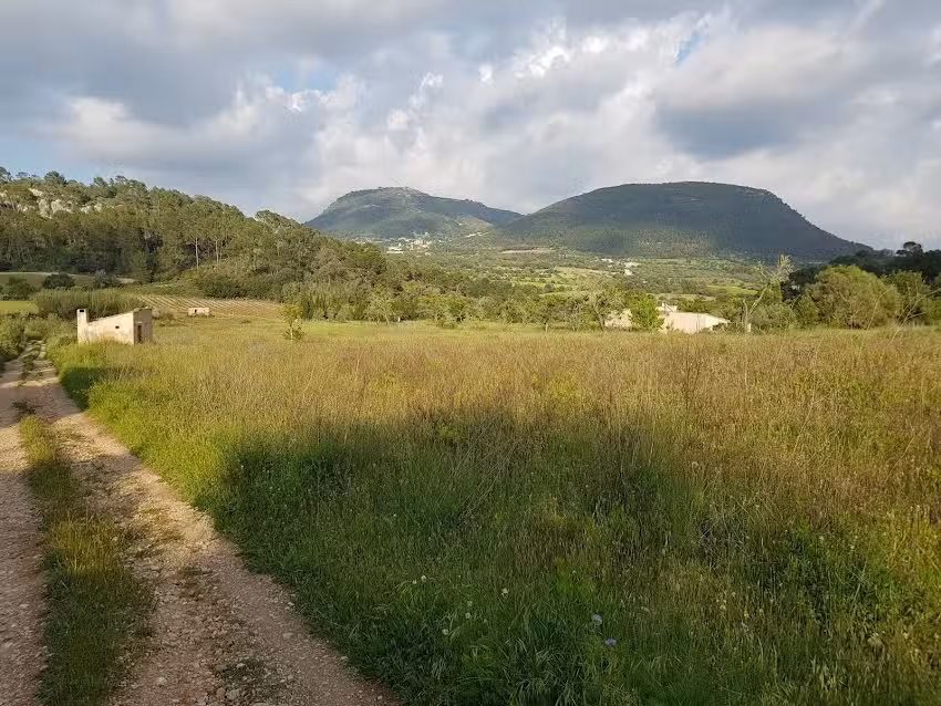 International Mallorca