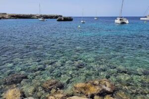 Inversiones y Desarrollo Menorquin S.L.